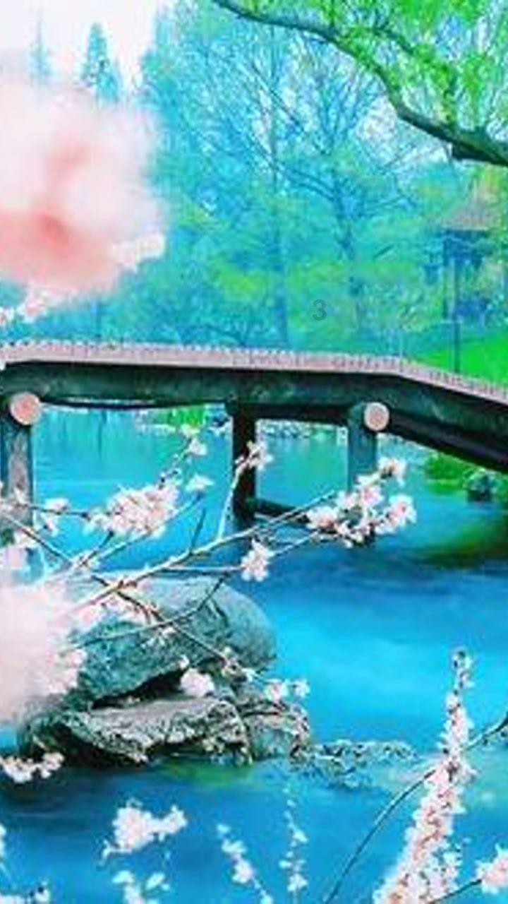 什么是逆向选择和道德风险游戏画面
